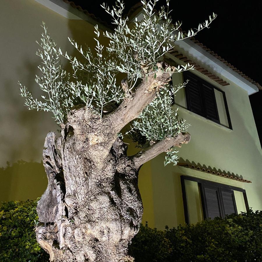 Villa Manzo-Pompei Vesuvius holiday house Boscotrecase Esterno foto